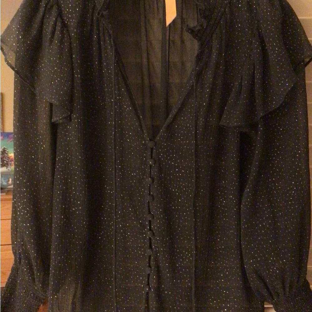 Zara sheer black blouse